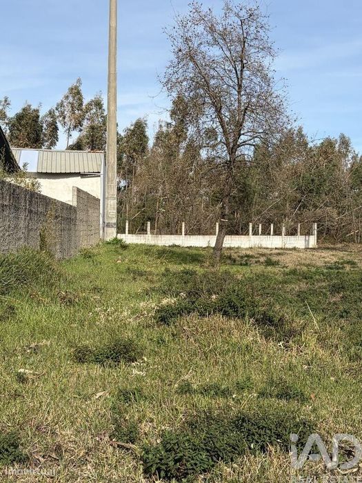 Terreno em Marinha Grande