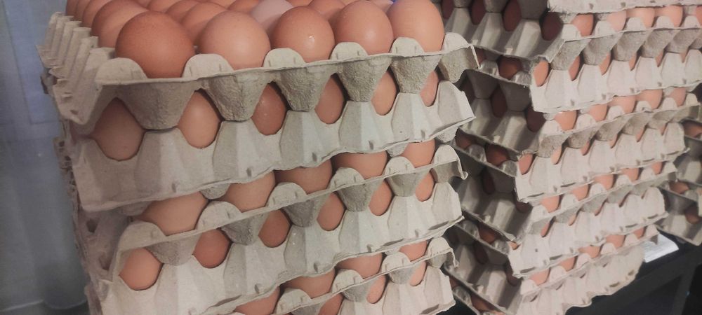 Cartões de 30 Ovos Frescos – 5€ e 6€