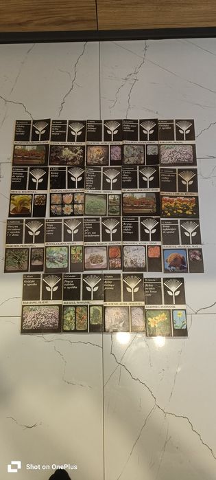 Zestaw czasopism  książki dla ogrodników wydawnictwo rolnicze