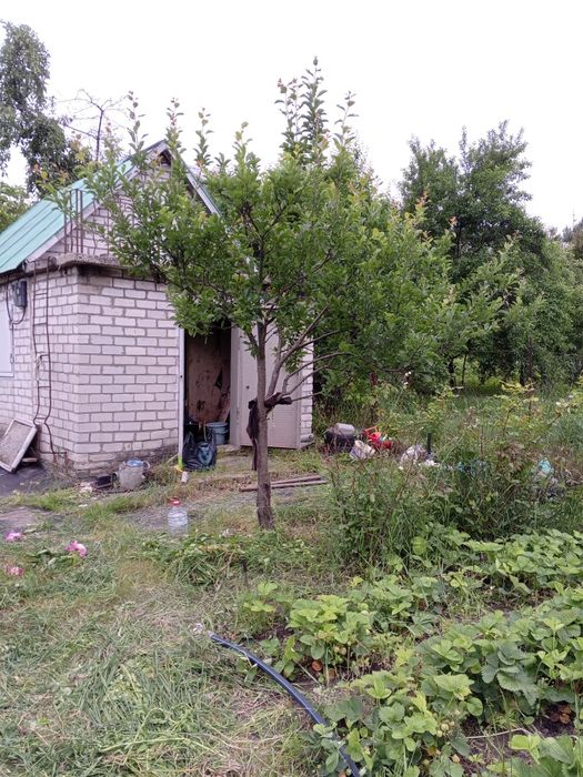 Продам дачу СТ Евріка