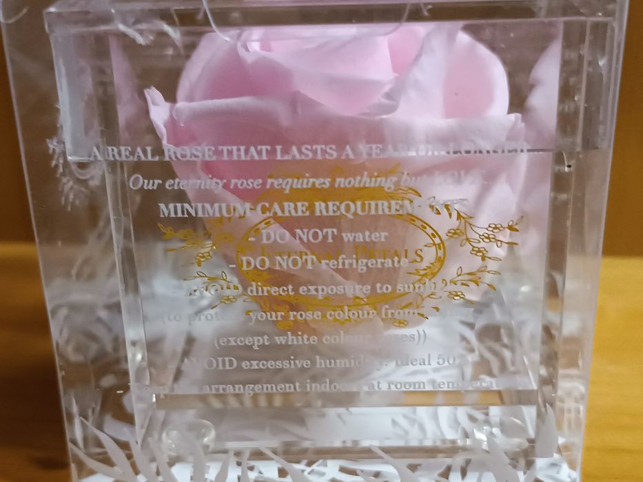 Вічна троянда Eternal Petals/Англія