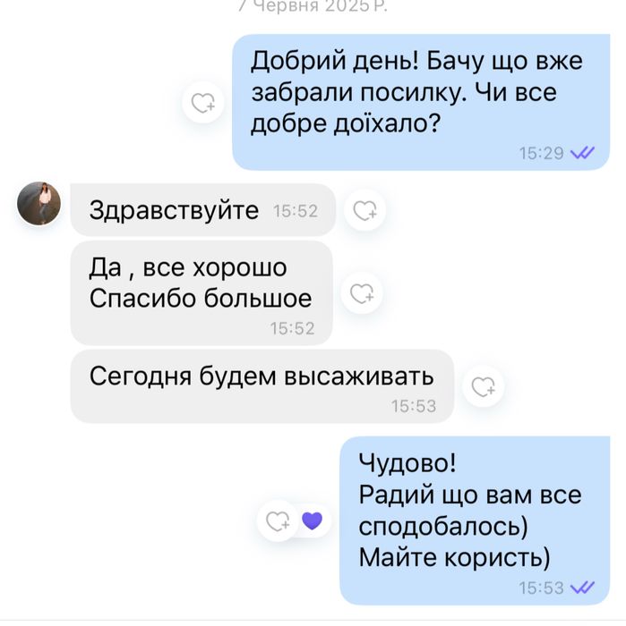 Шалот, корчуха, кущівка цибуля. Продам.