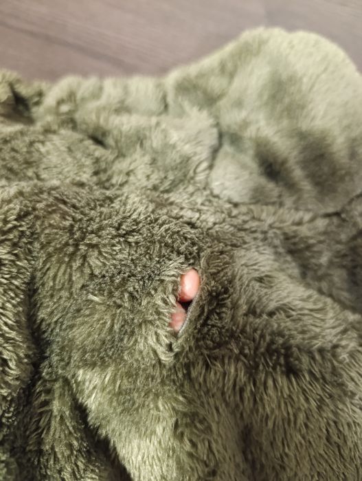 Capa para Cão (Porte Grande)