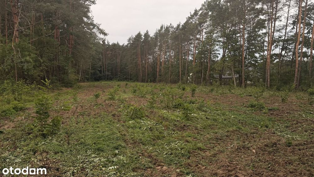 Działka budowlana 1000 m², Karolew, gm. Dąbrówka