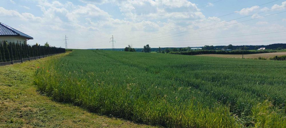 Sprzedam atrakcyjne działki we wsi Radomek