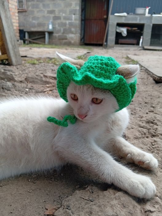 Вязанная панама для кота
