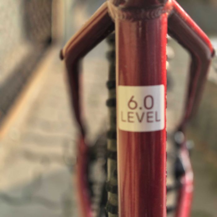 ROWER KROSS LEVEL 6.0 RUBINOWY koła 29' rama L 19' extra! okazja