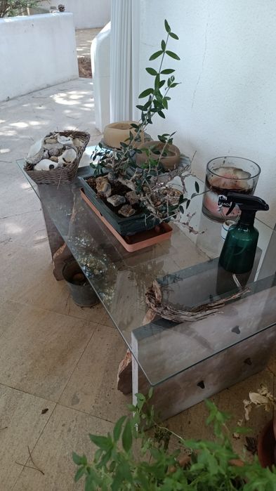 Mesa exterior rústica de pedra e vidro