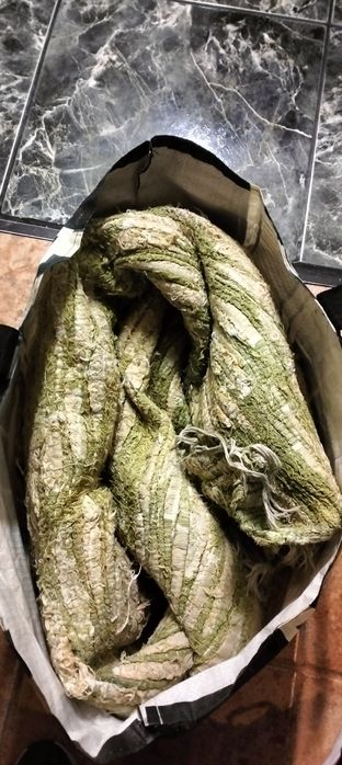 Liteiro de praia ou tapetão