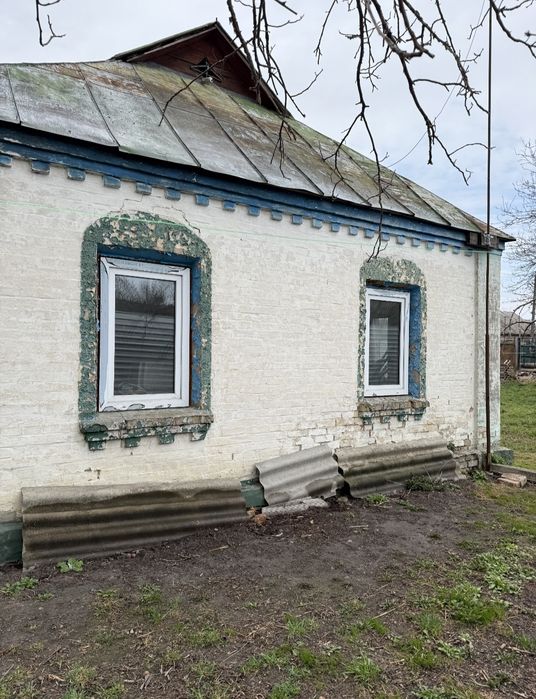 House in Druzhnya - View 3