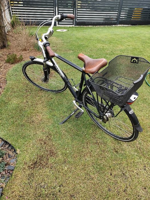 Rower gazelle męski