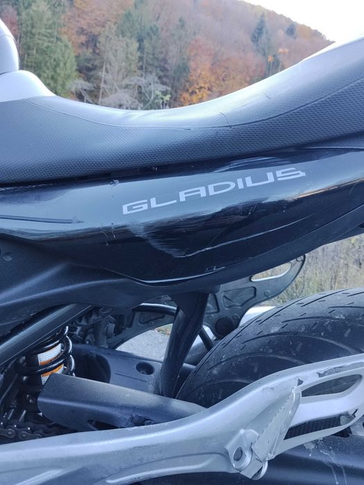 SUZUKI GLADIUS Лімітований 162/500