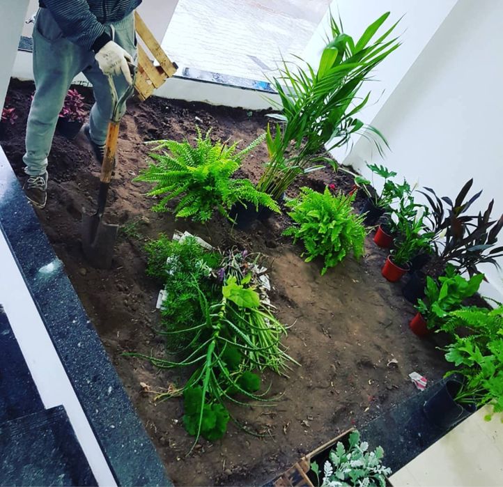 Serviço profissional de jardim