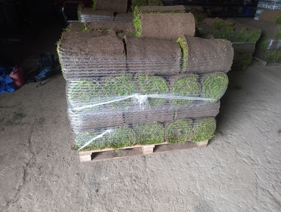 Trawa z rolki/Producent/Transport