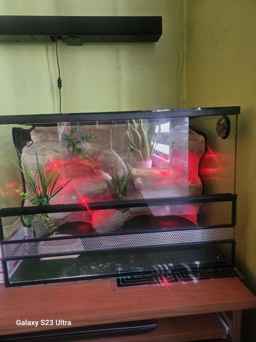 Terarium dla gekona 35*50*35