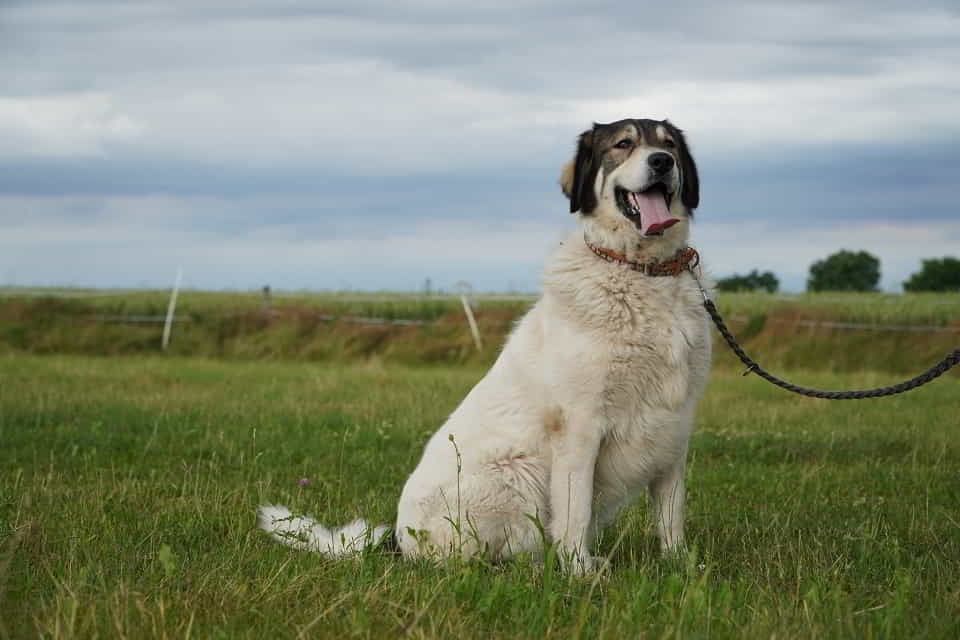 7 lat czekania wystarczy. Corina marzy o własnym domu