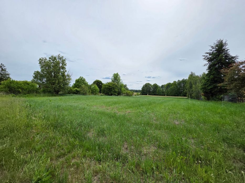 Na sprzedaż atrakcyjna działka 1.56 ha, Kijowiec, gmina Zalesie - Więcej
