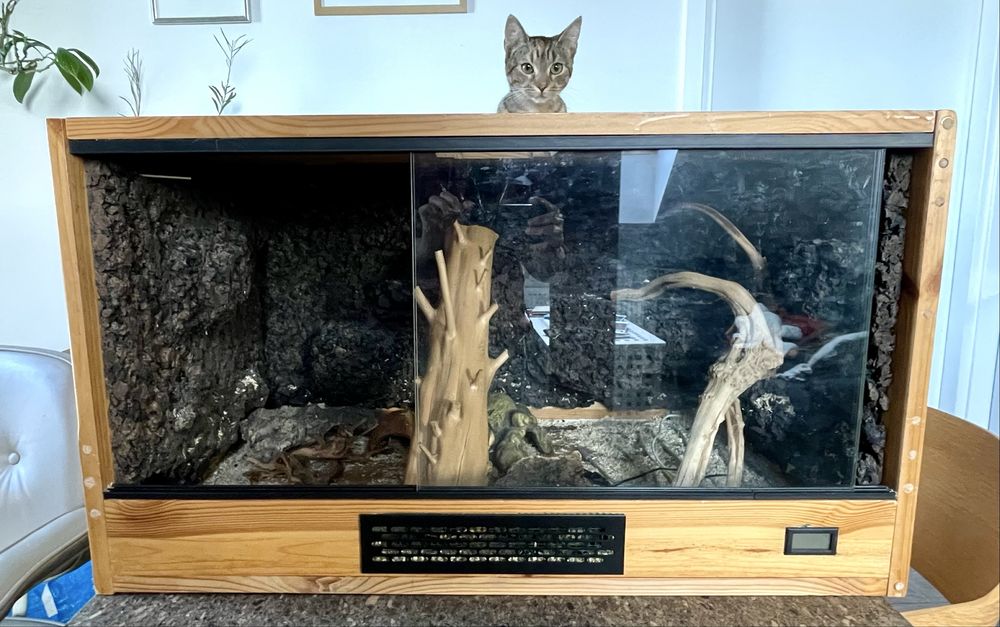 Terrarium drewniane dla węża