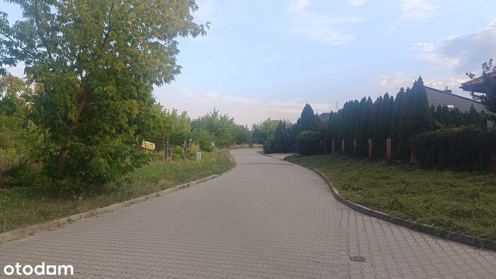 Działka Kurów Na Klifie polbruk media