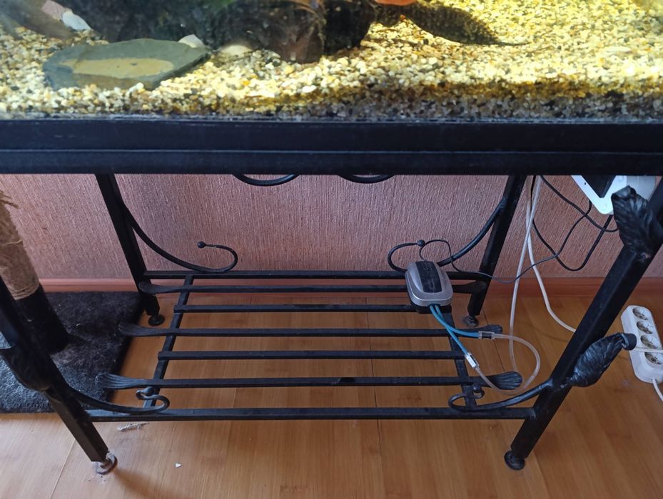 Рибкі хижі риби декоративні риби акваріум стійка для акваріуму