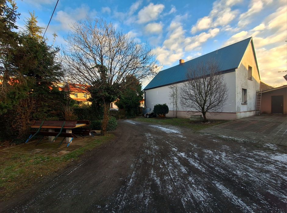 2 Hale do wynajęcia OŁAWA woj Dolnośląskie
