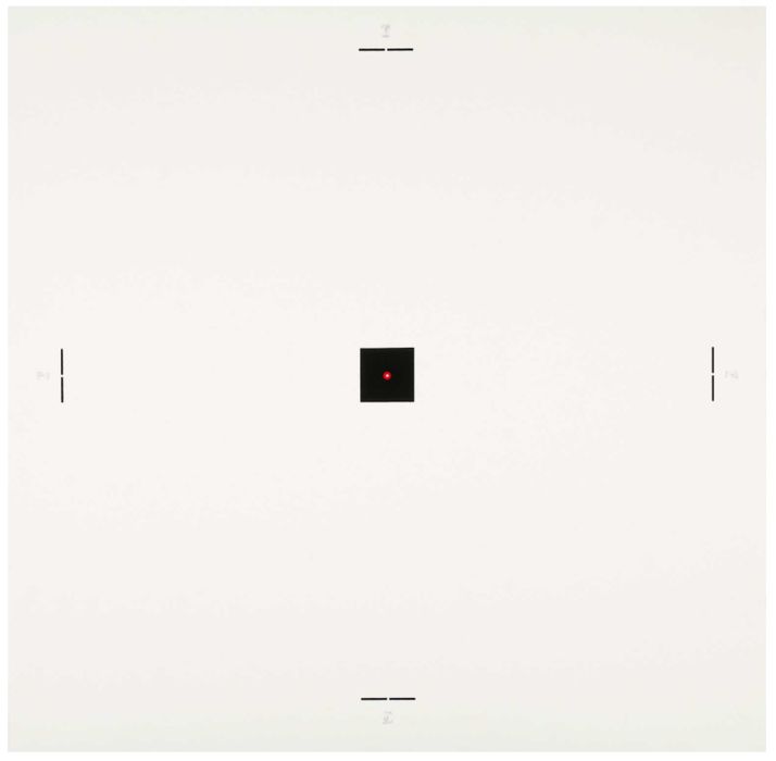 Serigrafia Alberto Carneiro