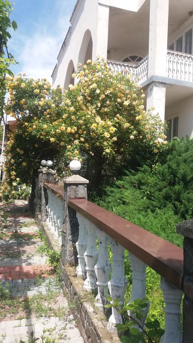 Будинок продажа в затишному місці