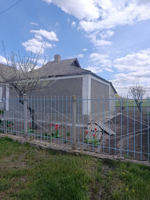 Продається будинок за межами міста