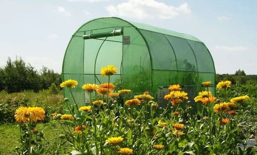 Tunel foliowy MOCNY 2x3m szklarnia