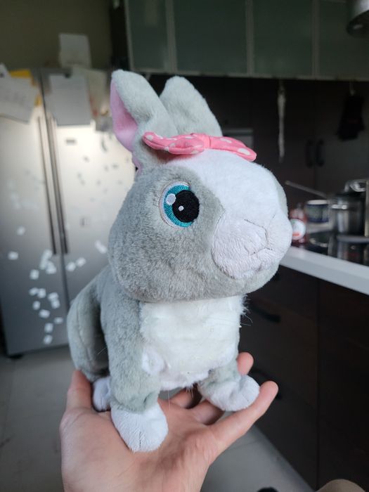 Tusia trochę ostrzyżona