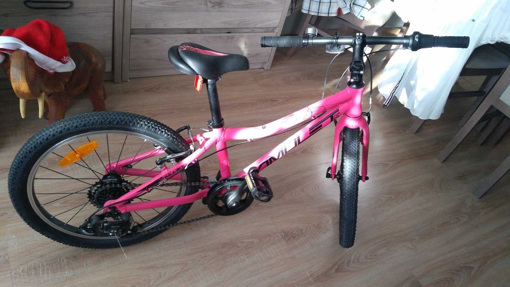 rower dziecięcy amulet fun20