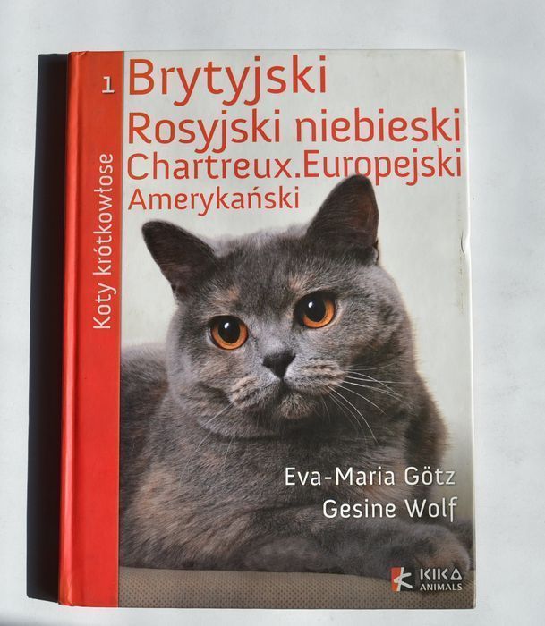 Koty krótkowłose 1 Brytyjski Rosyjski niebieski Chartreux Europejski