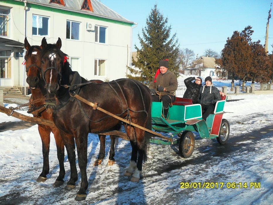 Фаєтон,карета, бричка.