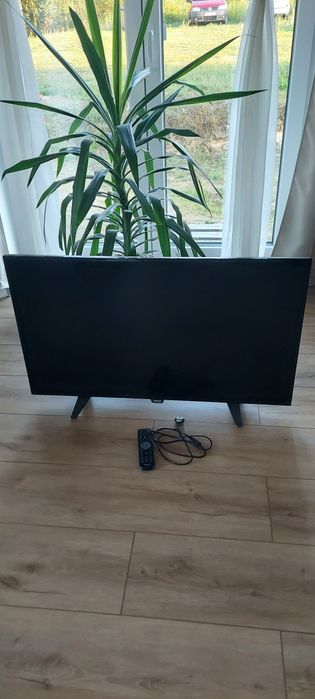 TV Philips model 40PFH4101/88