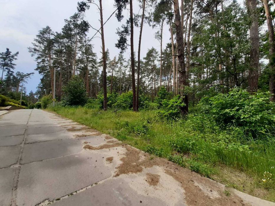 Продам участок под застройку в с. Плюты ЖМ Лесной. Конча Заспа