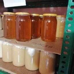 Miód z własnej pasieki