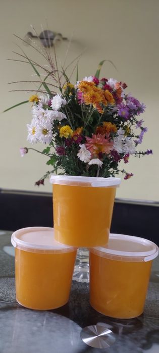 Мед сонях 2025 року