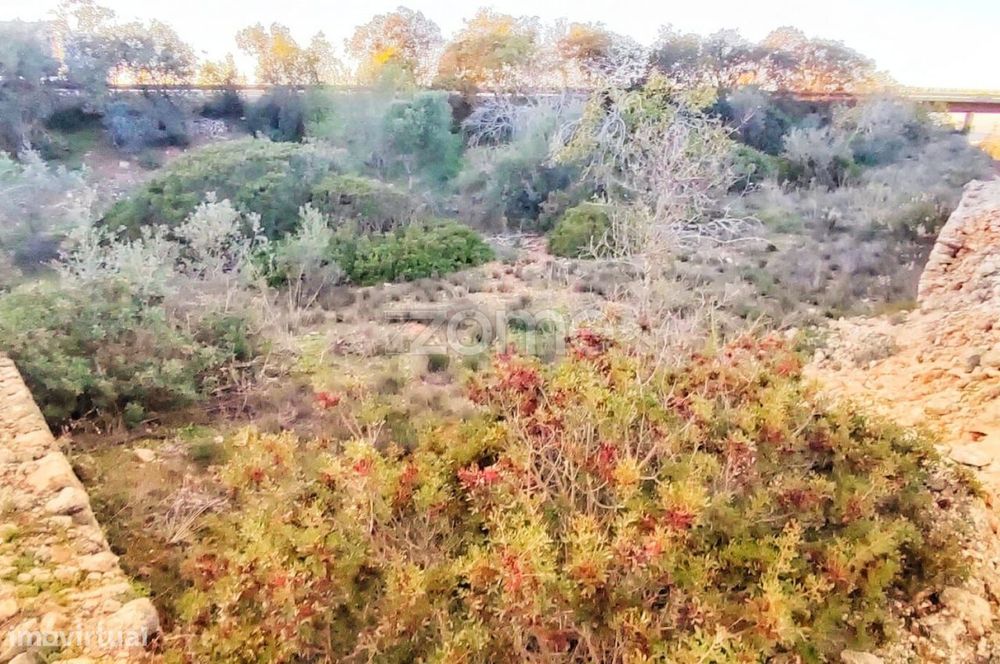 Terreno Rústico – Tunes, Silves | 1.480 m²