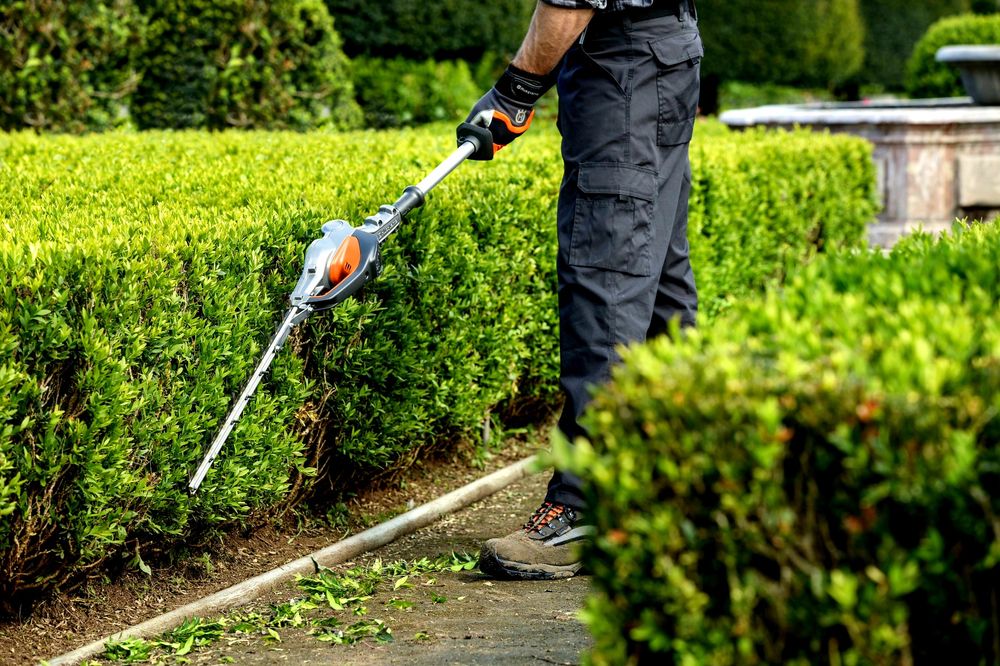 Обслуговування ділянок. СПИЛЮВАННЯ дерев. СКОШУВАННЯ трави тощо.