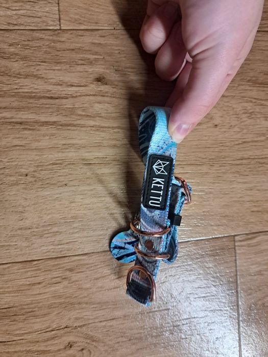 Obroża dla psa szczeniaka Kettu rozmiar XS