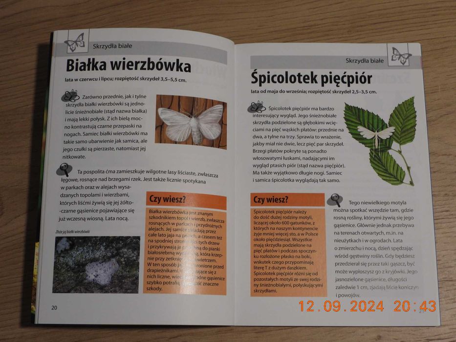 Mój pierwszy przewodnik Jaki to motyl? H.M. Garbarczyk JAK NOWA