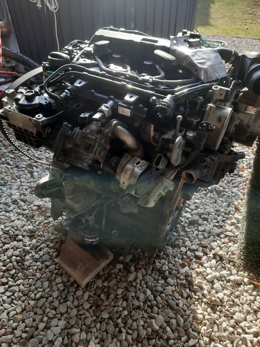 Silnik peugot  citroen  ford 2.0Hdi 2019r