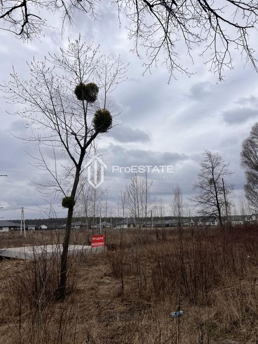 Продаж земельної ділянки фасад 2 га с.Гнідин