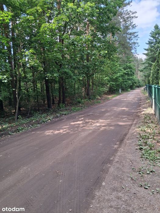 Prywatna Enklawa 5,32 ha z Lasem i Stawem Posiadłość Gzin - Widok 2