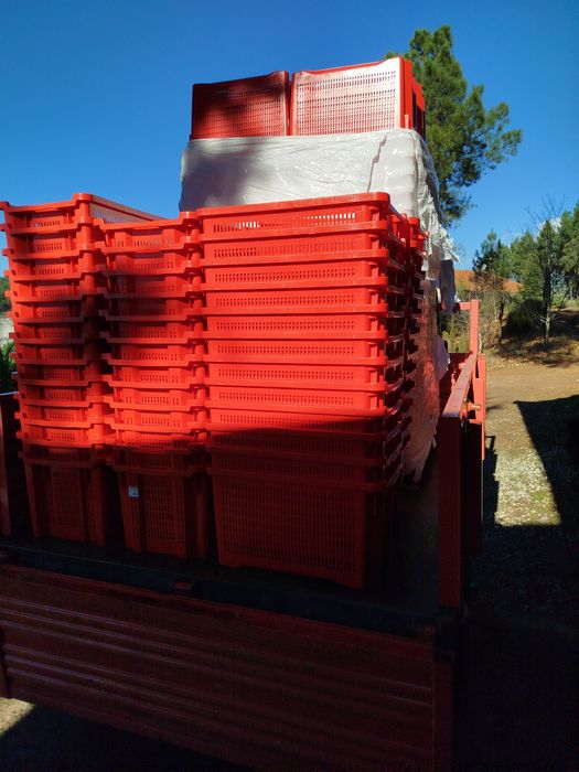 Caixas plástico agricultura