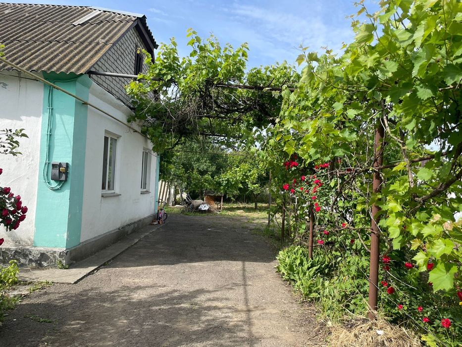 Продам Терміново! будинок Шевченково Миколаївська область