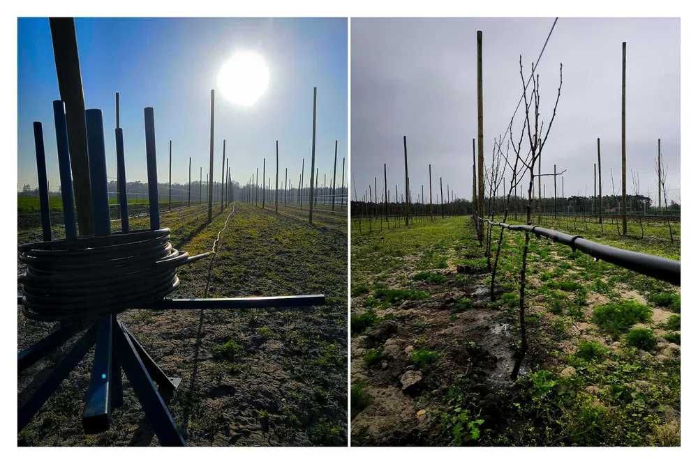 Systemy nawadniania / zakładanie trawników / glebogryzarka separacyjna