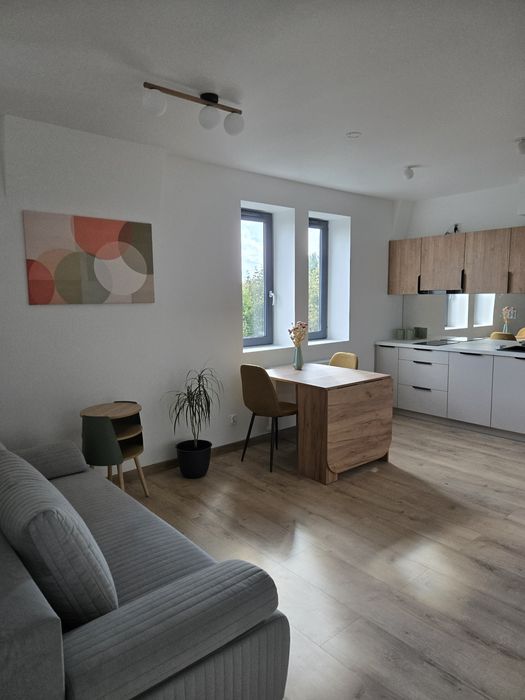 Mieszkanie Centrum wynajem