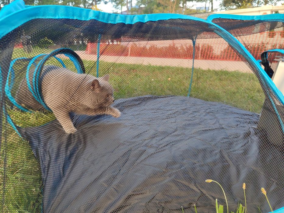 Parque para gato