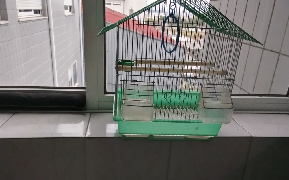 Gaiola usada mas estimada
